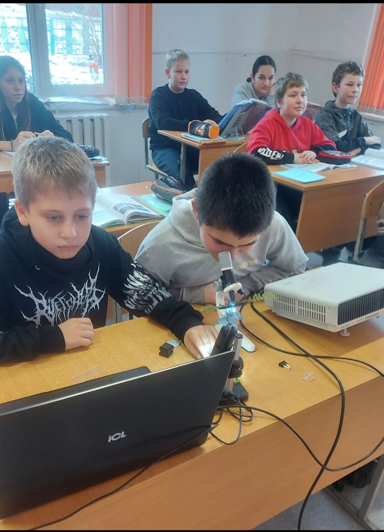 Изучение спор папоротника.
